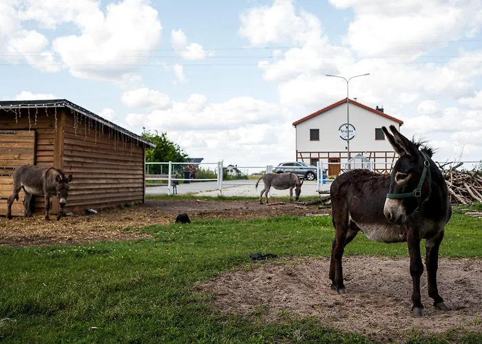 Stajnia Smaku Farm stay