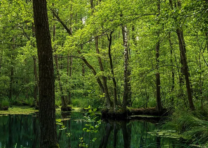 Farm stay Stajnia Smaku